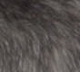 rat lisse