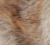 rat mock canelle