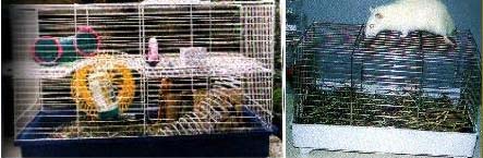 Cages à hamsters