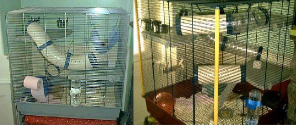 Cages à furets